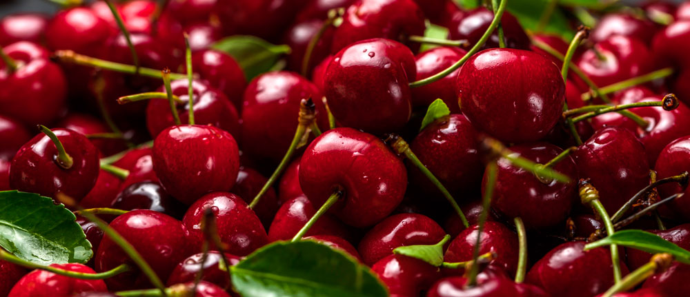 Cerezas de Santa Marina de Jaraz con sello de produccin Global GAP